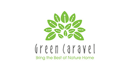 Portfolio image Green Caravel